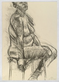 02.11.13 / 59.5 x 42.0 cm / charcoal